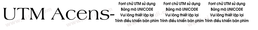UTM Acens字体转换